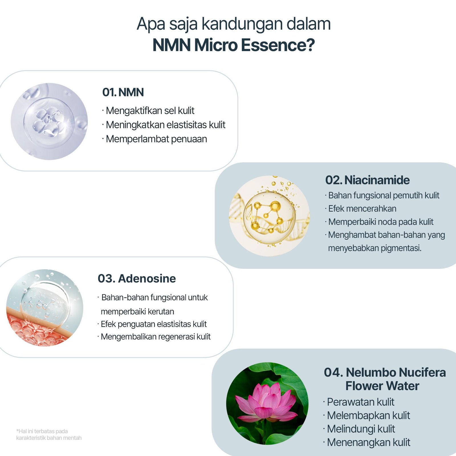 NMN Fine Active Formula - gambar 3