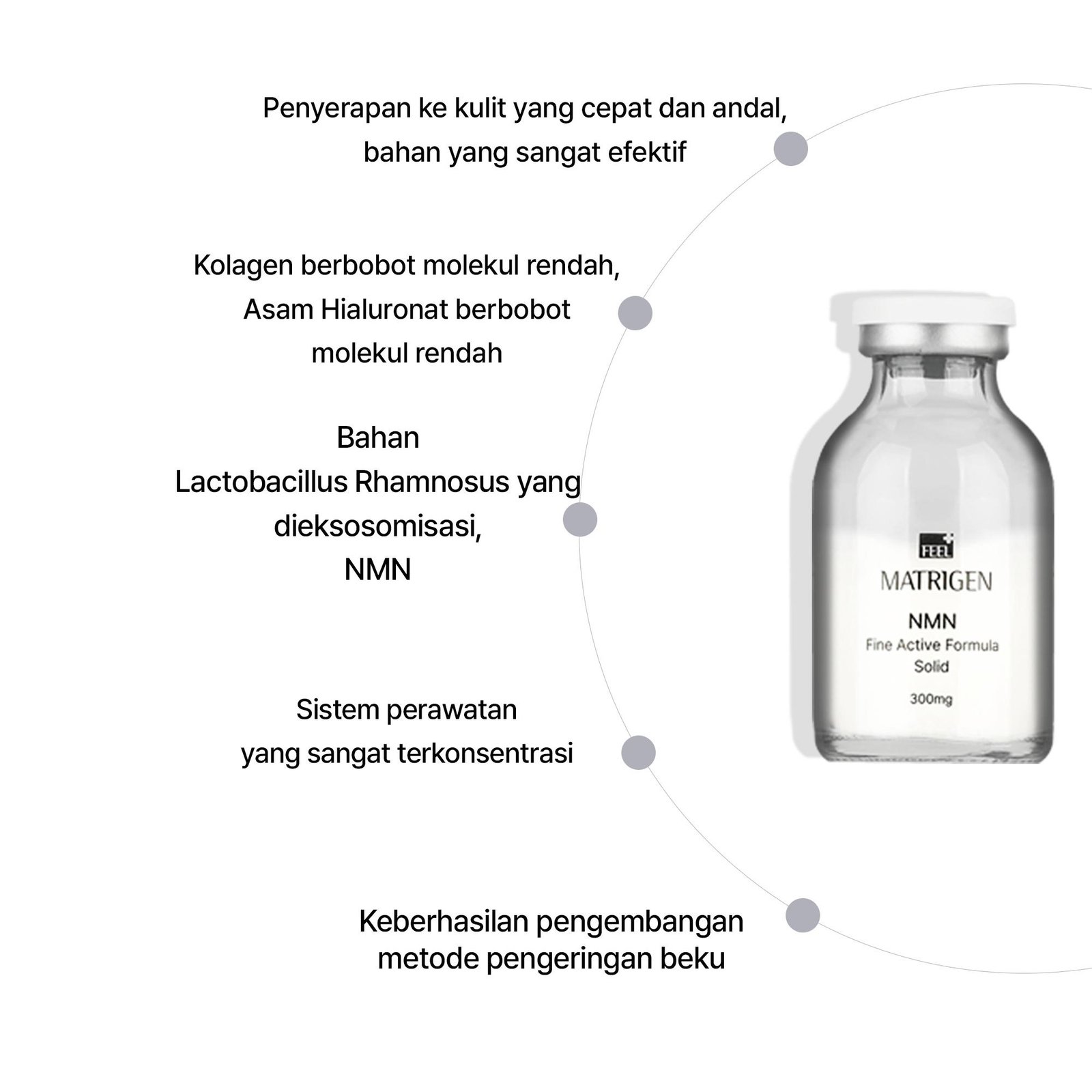 NMN Fine Active Formula - gambar 5