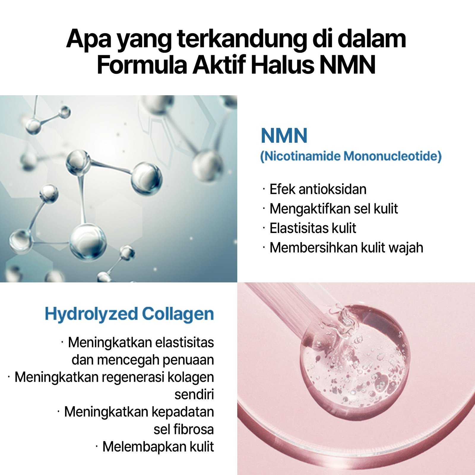 NMN Fine Active Formula - gambar 7