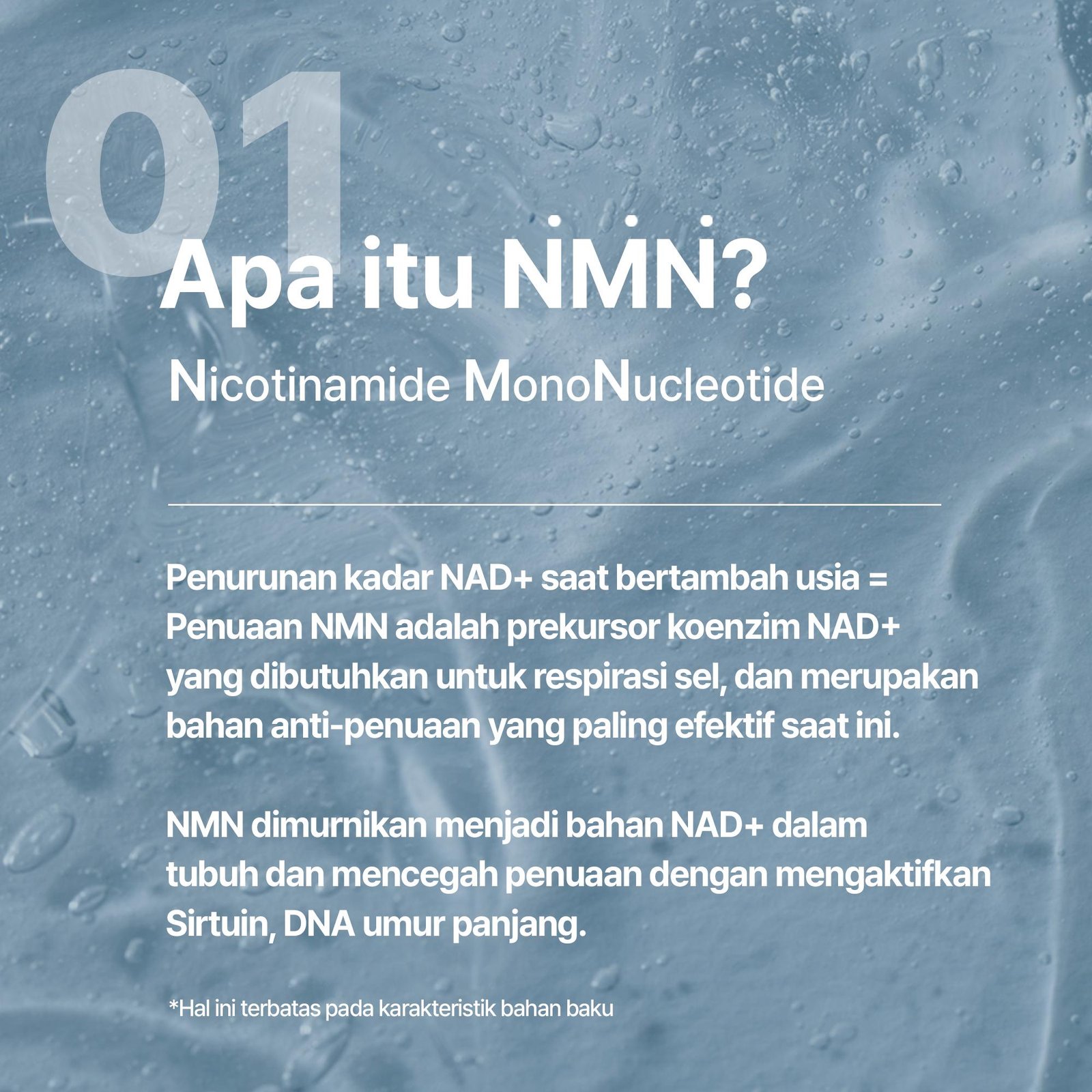 NMN Set - Micro Essence + Fine Active Formula - gambar 4