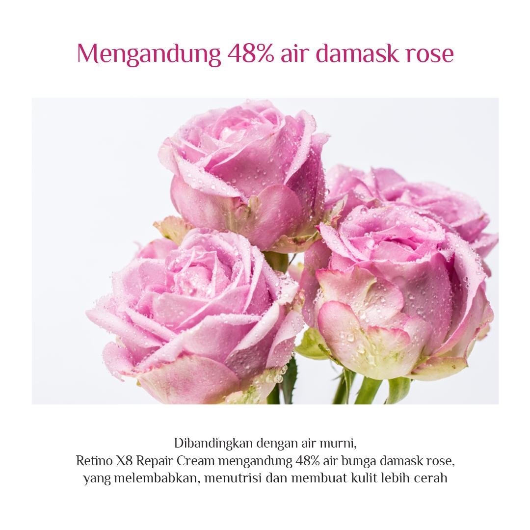 Retino X8 Pro Deep Wrinkle Repair Cream Set - gambar 7