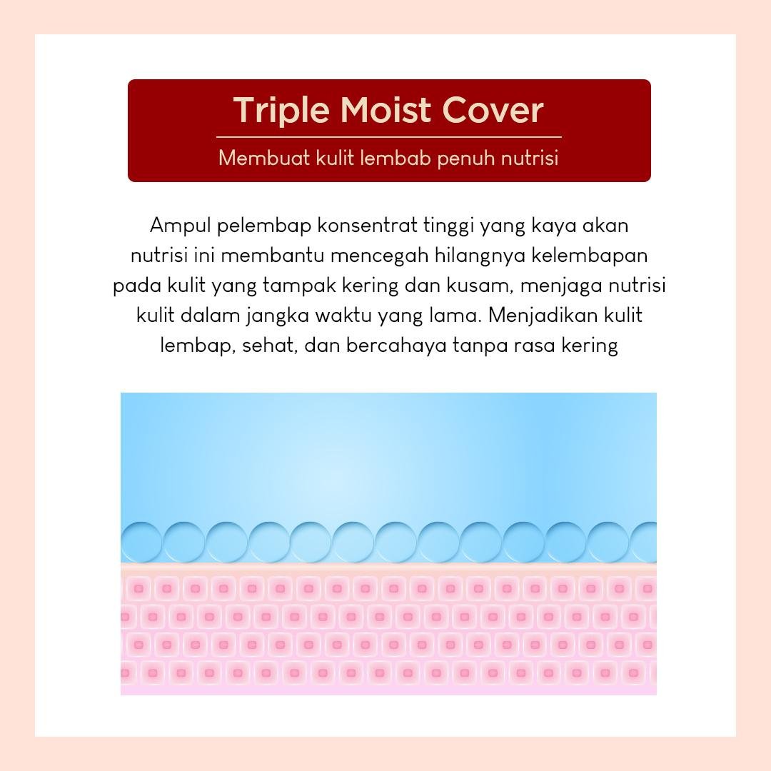 Retino X8 Pro Deep Wrinkle Repair Cushion - gambar 3